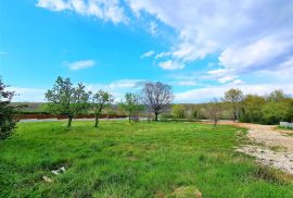 Istra,Brtonigla-Građevinske parcele na rubnom dijelu grada, Brtonigla, Land