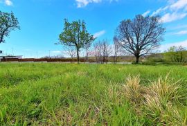 Istra,Brtonigla-Građevinske parcele na rubnom dijelu grada, Brtonigla, Land