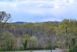 Istra,Brtonigla-Renovirana kuća sa okućnicom, Brtonigla, Haus