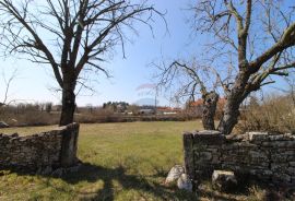 ISTRA, GRAĐEVINSKO ZEMLJIŠTE 3735 m2, Žminj, أرض