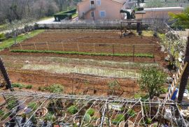 Velika obiteljska kuća sa 4 stana u blizini Poreča, Poreč, House