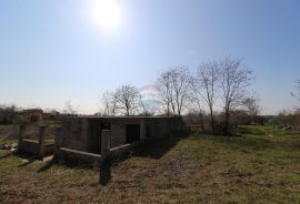 Istra, Poreč - Legalizirani objekt u okolici Poreča sa 1880 m2 zemljišta, Poreč, Дом