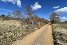 Poljoprivredna parcela u okolici Grožnjana, Grožnjan, Terrain