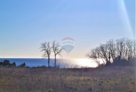 Istra Umag-Savudrija,Građevinsko zemljište turističke namjene, Umag, Terrain