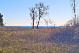 Istra Umag-Savudrija,Građevinsko zemljište turističke namjene, Umag, Terrain