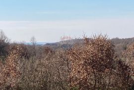 Medvidići, građevinska dozvola za kuću  i veliko poljoprivredno zemljište, Sveti Lovreč, Casa