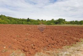 Istra, okolica Višnjana poljoprivredna zemlja površine 47.489m2, Višnjan, Terreno