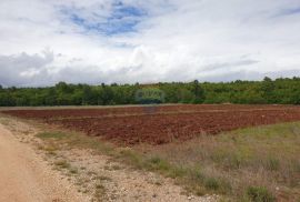 Istra, okolica Višnjana poljoprivredna zemlja površine 47.489m2, Višnjan, Terreno