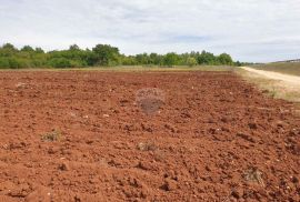 Istra, okolica Višnjana poljoprivredna zemlja površine 47.489m2, Višnjan, Terreno