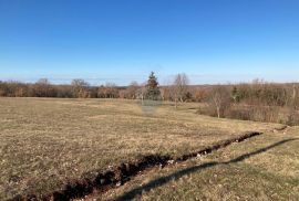 Istra, okolica Baderne, dugoročni najam građevinske zemlje, Tinjan, Terrain