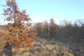 Istra, okolica Pazina, Lindar, veliko poljoprivredno zemljište, za OPG, Pazin - Okolica, Zemljište