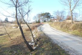 Istra, okolica Pazina, Lindar, veliko poljoprivredno zemljište, za OPG, Pazin - Okolica, Zemljište