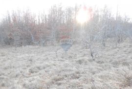 Istra, okolica Pazina, Lindar, veliko poljoprivredno zemljište, za OPG, Pazin - Okolica, Zemljište