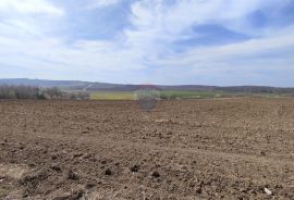 ISTRA,Buje poljoprivredno zemljište sa pogledom na more, Buje, Land