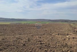 ISTRA,Buje poljoprivredno zemljište sa pogledom na more, Buje, Land