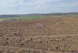 ISTRA,Buje poljoprivredno zemljište sa pogledom na more, Buje, Land