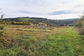 Poljoprivredno zemljište u blizini Grožnjana, Grožnjan, Terra