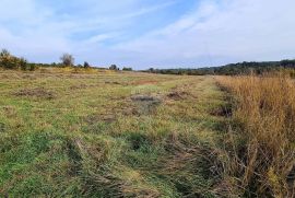 Poljoprivredno zemljište u blizini Grožnjana, Grožnjan, Terra