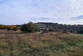 Poljoprivredno zemljište u blizini Grožnjana, Grožnjan, Terra