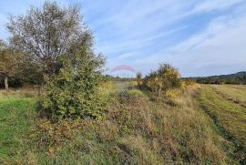 Poljoprivredno zemljište u blizini Grožnjana, Grožnjan, Terra