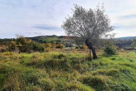 Poljoprivredno zemljište u blizini Grožnjana, Grožnjan, Terra