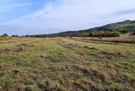 Poljoprivredno zemljište u blizini Grožnjana, Grožnjan, Terra