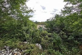 Istra,Grožnjan -Građevinsko zemljište u blizini naselja, Grožnjan, Land