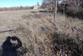 Građevinski Teren, Stancija Čabrunići 7000m2, Svetvinčenat, Land