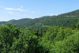 Kuća ili poslovni prostor, Fužine, Fužine, Maison