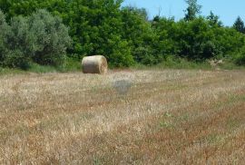 Poljoprivredno zemljište u Kašteliru, Kaštelir-Labinci, أرض