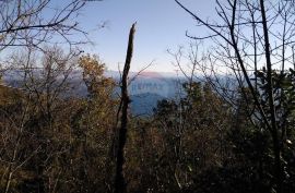 MOŠĆENIČKA DRAGA - 6.670 m2 NEGRAĐEVINSKOG TERENA (ŠUMA), Mošćenička Draga, Arazi