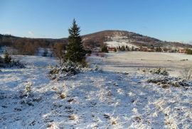 Velik i lijep teren-Stari Laz, Ravna Gora, Zemljište