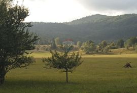 Stari Laz - autohtona kuća, Ravna Gora, House