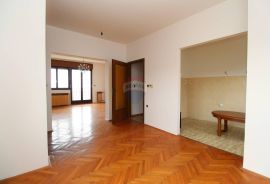 Samostojeća kuća s 2 uređena stana, potkrovljem, prizemljem i 2900m2 okućnice, Rijeka, Casa