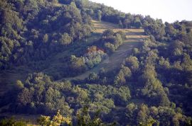 Šuma u Vratima, Fužine, Terra