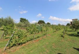 Istra, Vodnjan okolica,kuća na ogromnom imanju, Vodnjan, Casa