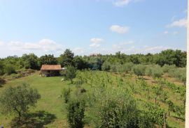 Istra, Vodnjan okolica,kuća na ogromnom imanju, Vodnjan, Casa