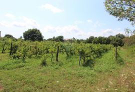 Istra, Vodnjan okolica,kuća na ogromnom imanju, Vodnjan, Casa