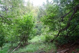 Poljoprivredni teren-Fužine, Fužine, Land