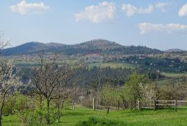 Vikendica u blizini Čogljevog jezera, Vrbovsko, Kuća