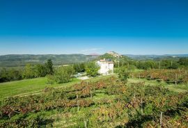 Motovun okolica: Fantastična kamena vila sa bazenom, Motovun, Famiglia