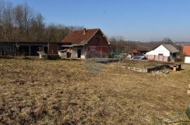 Garešnica - građevinsko zemljište, Garešnica, Terreno