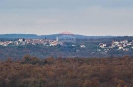 Istra,Jural veliko poljoprivredno zemljište sa mogućnošću gradnje, Kanfanar, Terreno