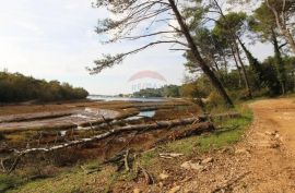 Vabriga, atraktivno građevinsko zemljište, Poreč, Arazi