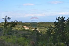 Momjan: Povijesna kamena kuća s pogledom na more i velikom okućnicom, Buje, Kuća