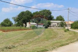 Središnja Istra, građevisska parcela nedaleko Motovuna, Karojba, Land