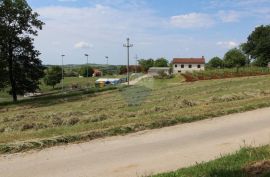 Središnja Istra, građevisska parcela nedaleko Motovuna, Karojba, Land