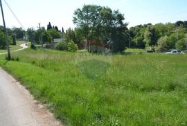 Središnja Istra, građevisska parcela nedaleko Motovuna, Karojba, Land