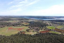 Vrsar, atraktivno građevinsko zemljište panoramskog pogleda prema moru, Vrsar, Terrain