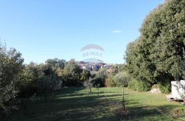 Vrsar, atraktivno građevinsko zemljište panoramskog pogleda prema moru, Vrsar, Terrain